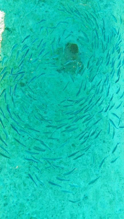 Alaka At Maafushi酒店 外观 照片